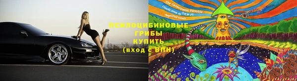 тгк Аркадак