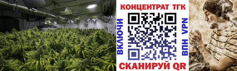 omg сайт  Бодайбо  Дистиллят ТГК THC oil 