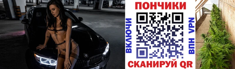 закладка  Бодайбо  Конопля сатива 